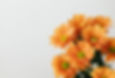 Bouquet de fleurs